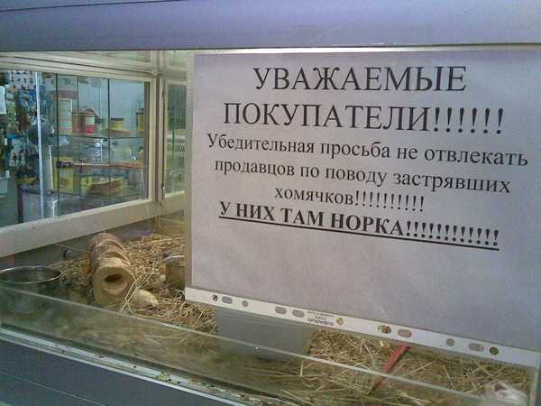 Просьба не садиться на образец