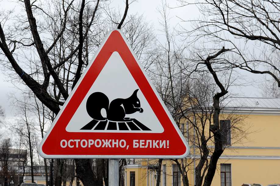 «это не выдумки»: самые смешные и забавные дорожные знаки, которые можно увидеть на разных дорогах мира. часть 1